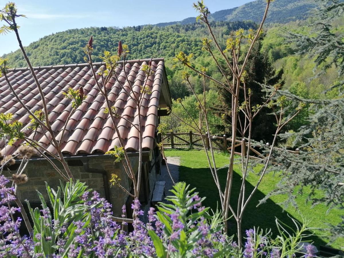 Les Pedres Villa Camprodon Exterior photo