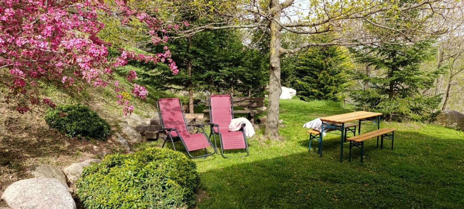 Les Pedres Villa Camprodon Exterior photo